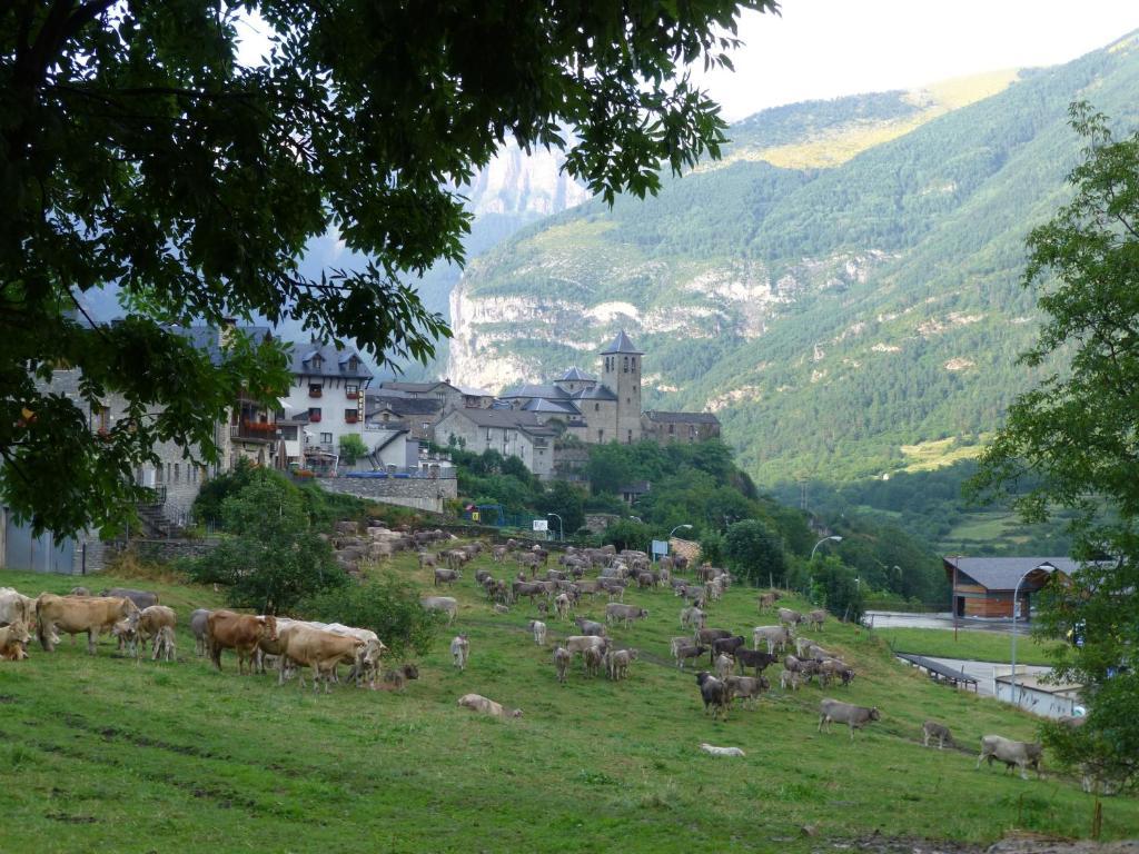 Hotel Bellavista Ordesa Torla Zewnętrze zdjęcie